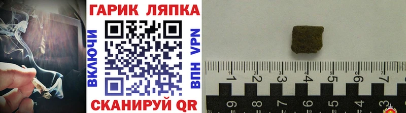ГАШ Кохма