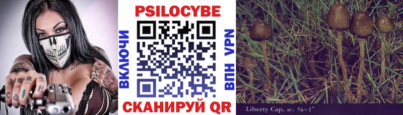 Псилоцибиновые грибы Psilocybine cubensis  Кохма 